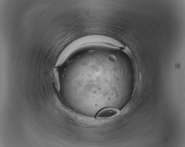 X0000116340048200912151338