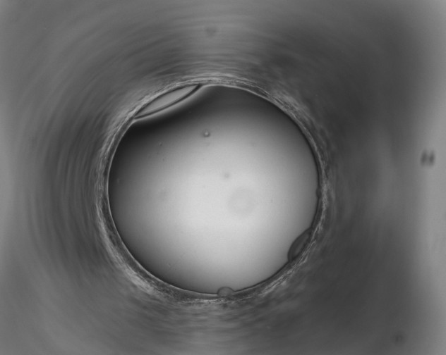 X0000116340049200912151337