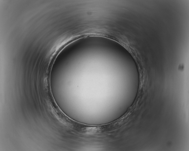 X0000116340050200912151337