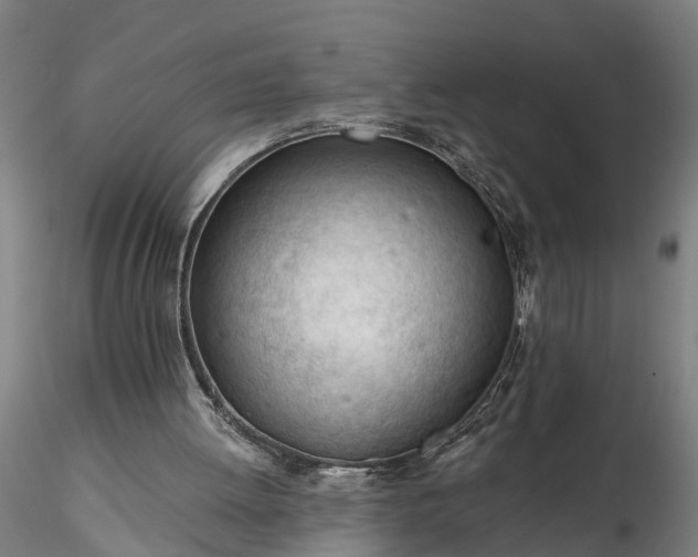 X0000116340052200912151337