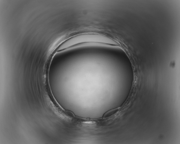 X0000116340053200912151337