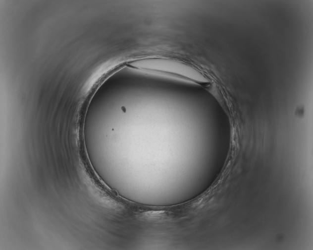 X0000116340054200912151337