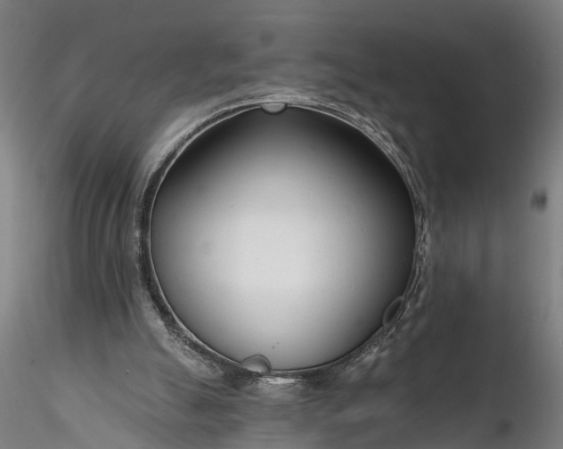 X0000116340055200912151337