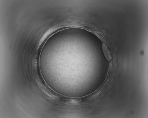 X0000116340056200912151337