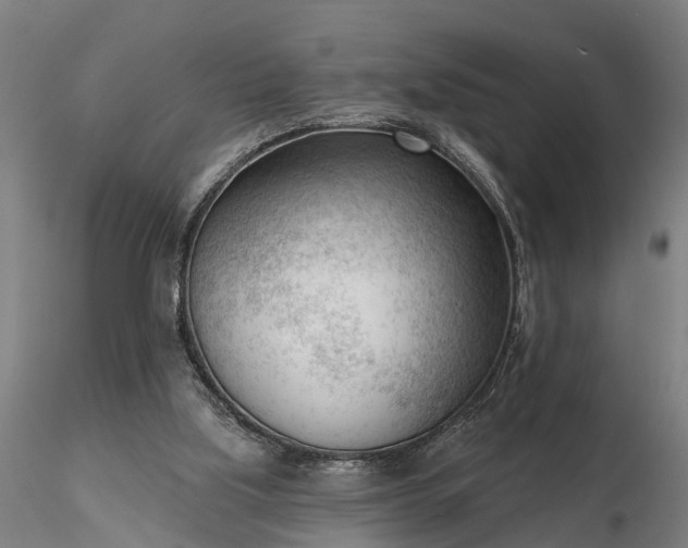 X0000116340059200912151337