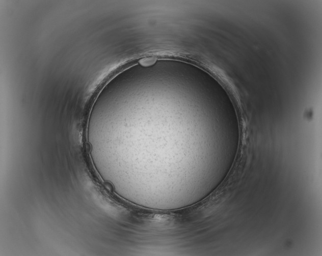 X0000116340060200912151337