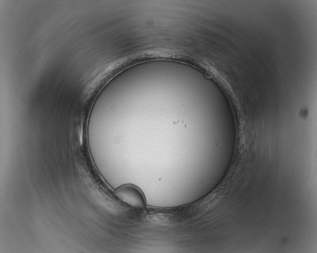 X0000116340062200912151337