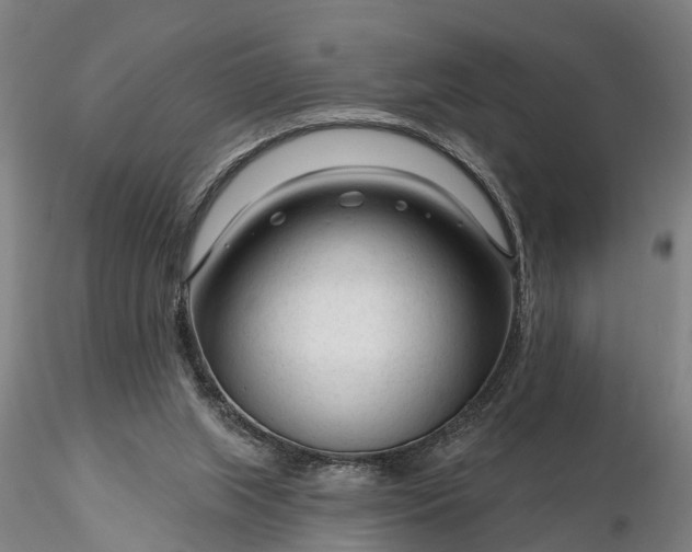 X0000116340063200912151337