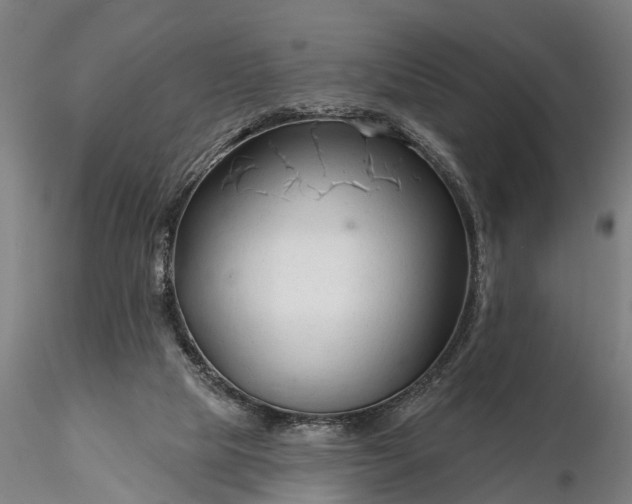 X0000116340065200912151337