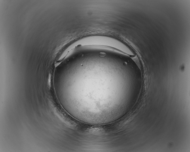 X0000116340067200912151337