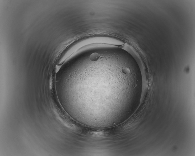 X0000116340068200912151337