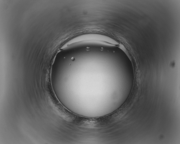 X0000116340071200912151337