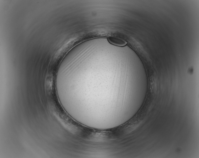 X0000116340072200912151337