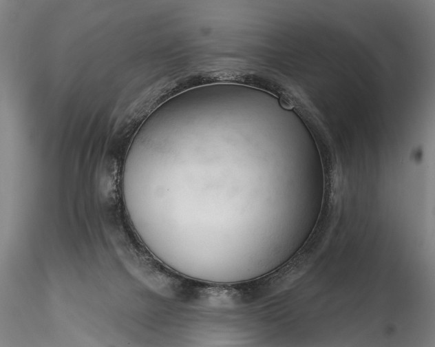 X0000116340073200912151337