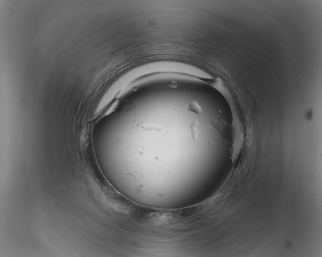 X0000116340074200912151337