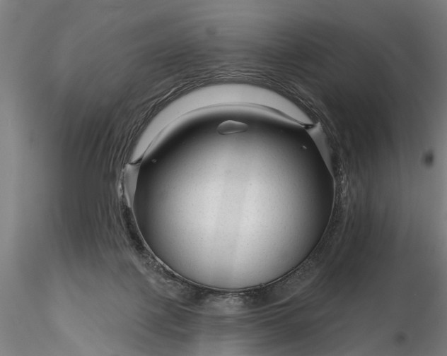 X0000116340075200912151337