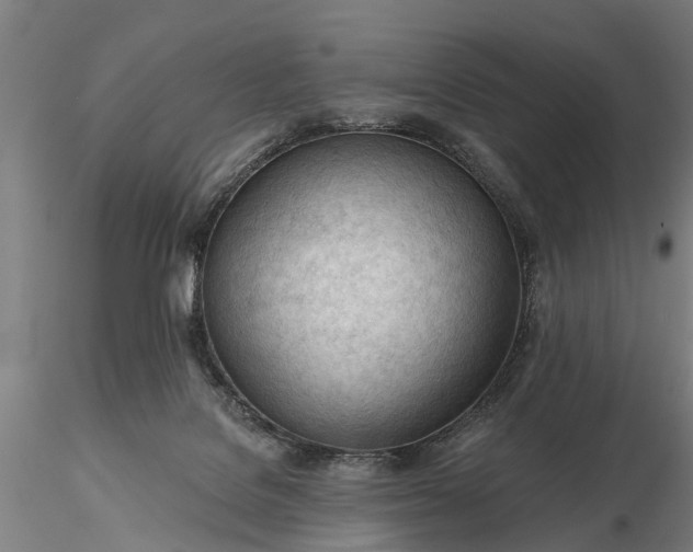 X0000116340076200912151337