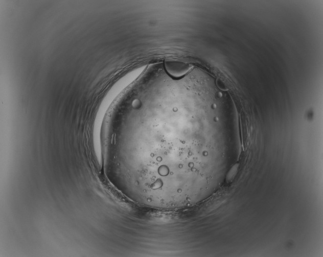 X0000116340077200912151337