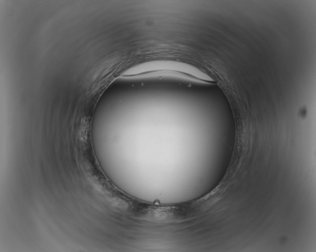 X0000116340078200912151337