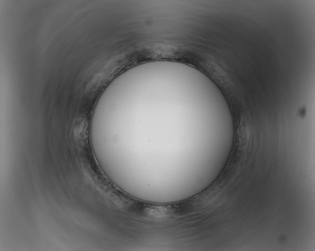 X0000116340079200912151337