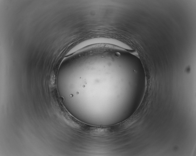 X0000116340081200912151337