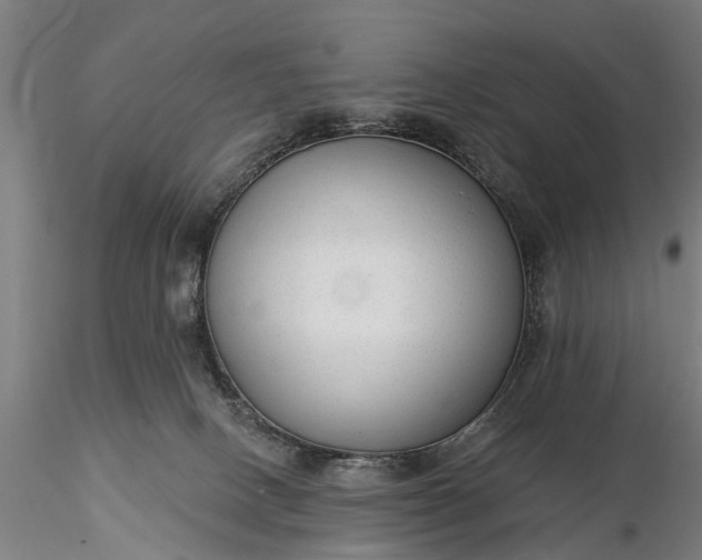 X0000116340082200912151337