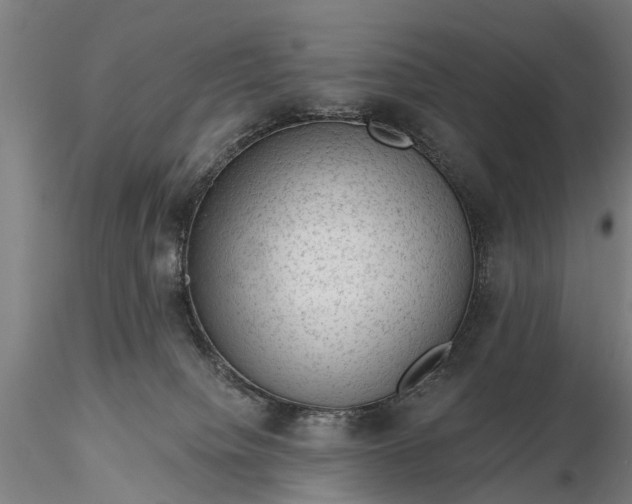 X0000116340084200912151337