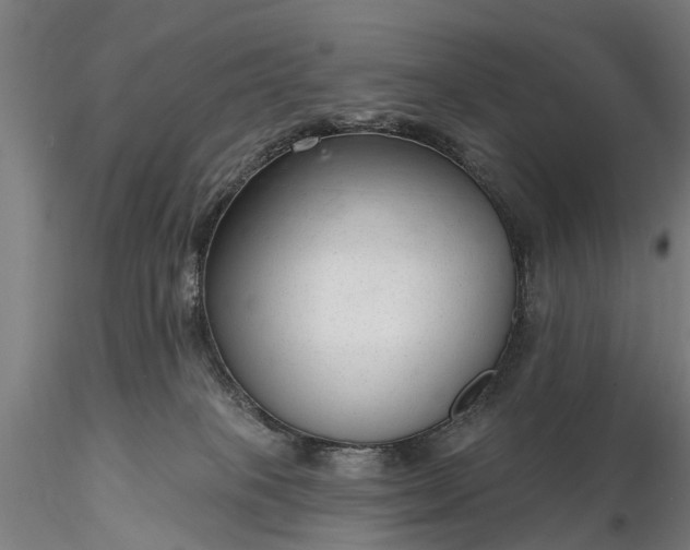 X0000116340085200912151338