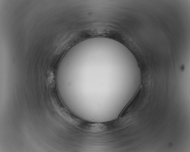 X0000116340087200912151338