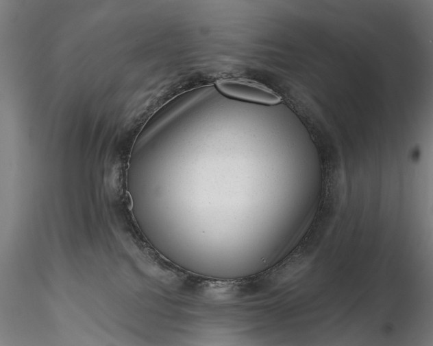 X0000116340088200912151338