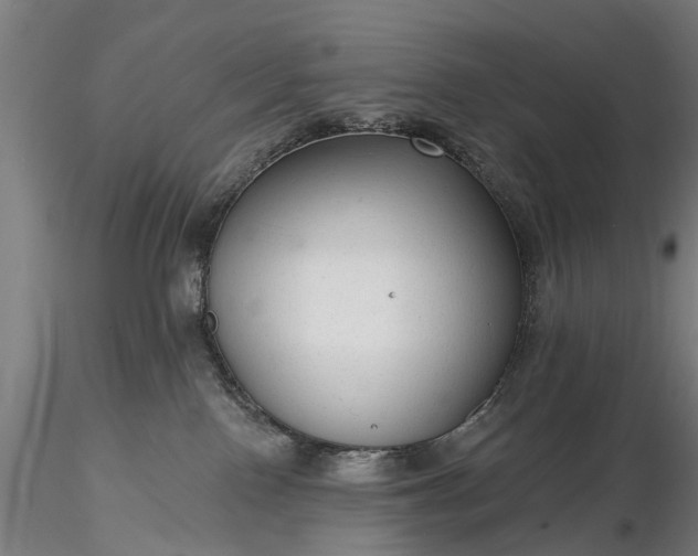 X0000116340090200912151338