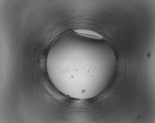 X0000116340092200912151338