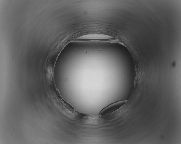 X0000116340093200912151338