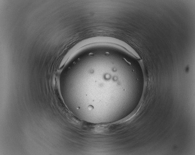 X0000116340094200912151338