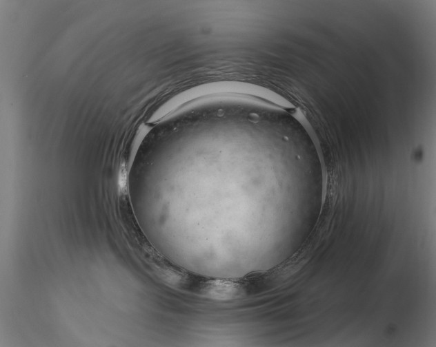 X0000116340095200912151338