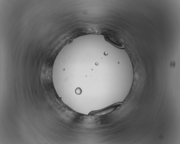 X0000116340096200912151338