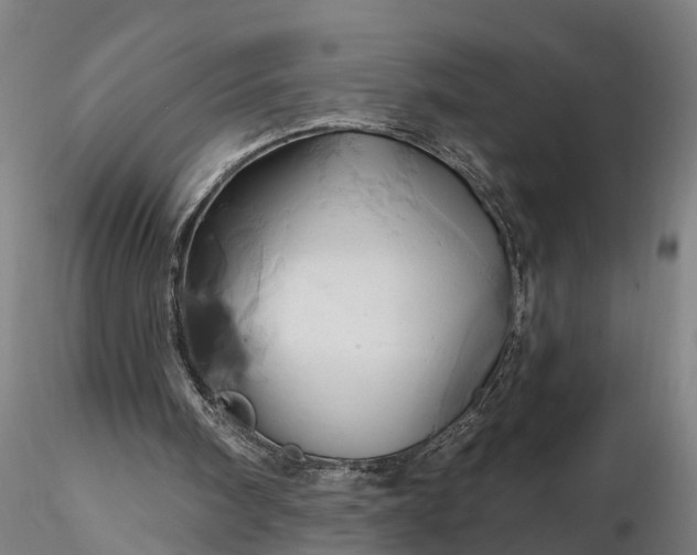 X0000116340098200912151337