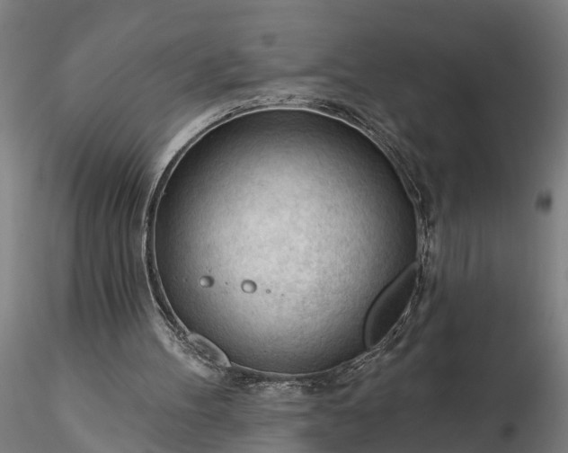 X0000116340100200912151337