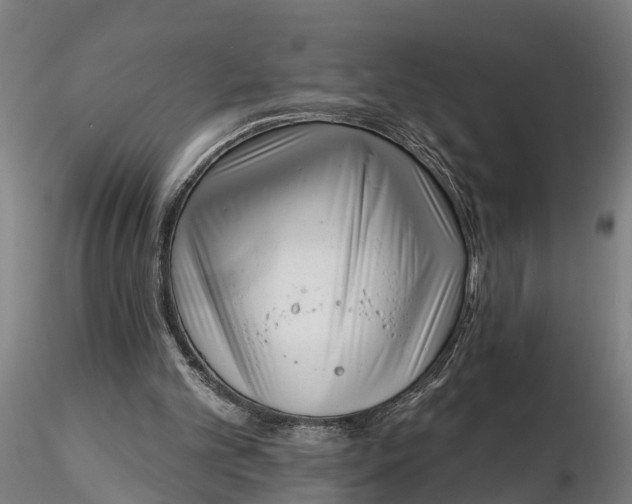 X0000116340101200912151337