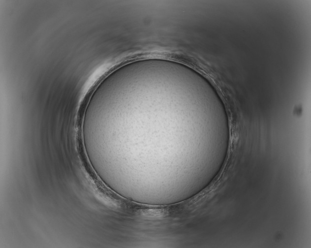 X0000116340102200912151337