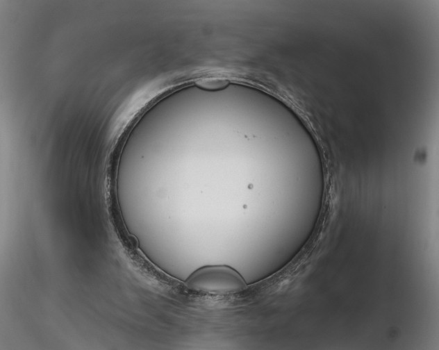 X0000116340103200912151337