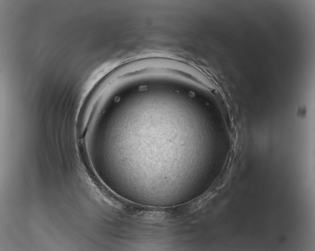 X0000116340104200912151337