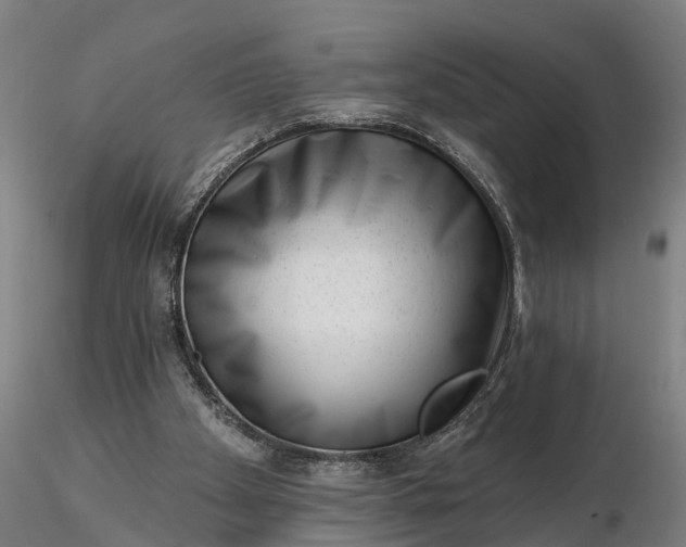 X0000116340105200912151337