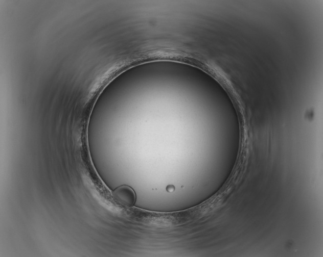 X0000116340106200912151337