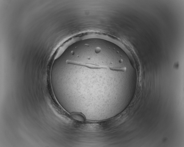 X0000116340108200912151337