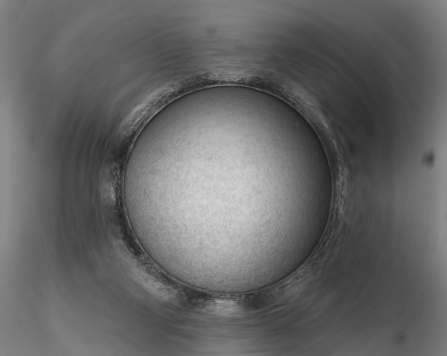 X0000116340114200912151337