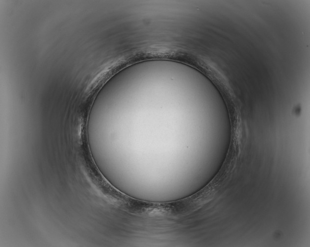 X0000116340115200912151337