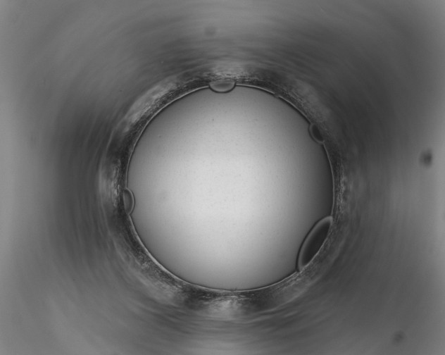 X0000116340116200912151337