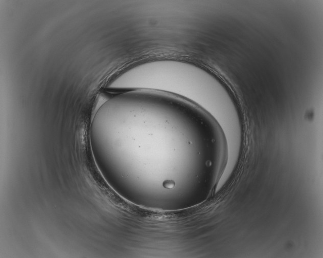 X0000116340117200912151337