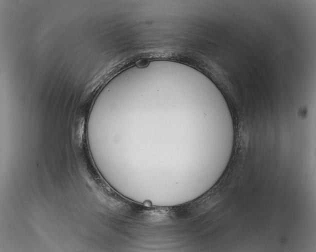 X0000116340118200912151337